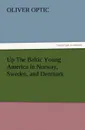 Up The Baltic Young America in Norway, Sweden, and Denmark - Oliver Optic
