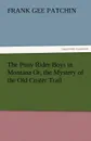 The Pony Rider Boys in Montana Or, the Mystery of the Old Custer Trail - Frank Gee Patchin