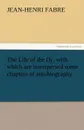 The Life of the Fly, with Which Are Interspersed Some Chapters of Autobiography - Jean-Henri Fabre