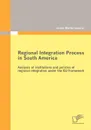 Regional Integration Process in South America. Analysis of institutions and policies of regional integration under the EU Framework - Jaime Martín León Li