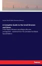 A Complete Guide to the Small Bronzes and Gems - Eustace Neville Rolfe, Domenico Monaco