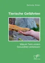 Tierische Gefahrten. Warum Tiere unsere Gesundheit verbessern - Belinda Peter