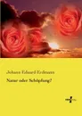 Natur oder Schopfung. - Johann Eduard Erdmann