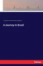 A Journey In Brazil - Louis Agassiz, Elizabeth Cabot Cary Agassiz