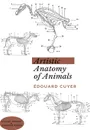 Artistic Anatomy of Animals - Édouard Cuyer