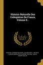 Histoire Naturelle Des Coleopteres De France, Volume 8... - Martial Étienne Mulsant, Claudius Rey