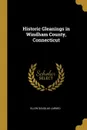 Historic Gleanings in Windham County, Connecticut - Ellen Douglas Larned