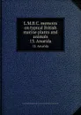 L.M.B.C. memoirs on typical British marine plants and animals. 13. Anurida - Liverpool Marine Biology Committee