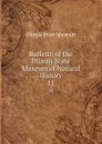 Bulletin of the Illinois State Museum of Natural History. Number 11 - S. A. Miller, Wm. F. E. Gurley