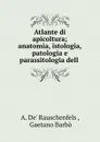 Atlante di apicoltura - A. de Rauschenfels