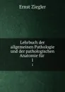 Lehrbuch der allgemeinen Pathologie und der pathologischen Anatomie. Band 1. Allgemeine Pathologie - Ernst Ziegler