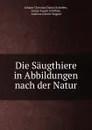 Die Saugthiere in Abbildungen nach der Natur - Johann Christian Daniel Schreber