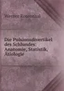 Die Pulsionsdivertikel des Schlundes. Anatomie, Statistik, Atiologie - Werner Rosenthal