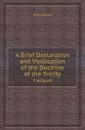 A Brief Declaration and Vindication of the Doctrine of the Trinity. 3 articuli - John Owen