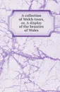 A collection of Welch tours, or, A display of the beauties of Wales - Welsh tours