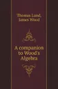 A companion to Wood.s Algebra - Thomas Lund, James Wood