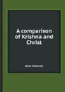 A comparison of Krishna and Christ - Baba Padmanji