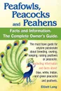 Peafowls, Peacocks and Peahens. Including Facts and Information about Blue, White, Indian and Green Peacocks. Breeding, Owning, Keeping and Raising Pe - Elliott Lang