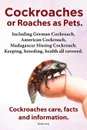 Cockroaches as Pets. Cockroaches Care, Facts and Information. Including German Cockroach, American Cockroach, Madagascar Hissing Cockroach. Keeping, B - Elliott Lang