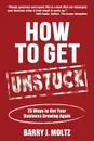How To Get Unstuck. 25 Ways to Get Your Business Growing Again - Barry Moltz