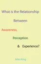 What is the Relationship Between Awareness, Perception . Experience. - John King