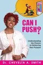 Can I Push.. Understanding the Process to Delivering Your Purpose - Chevelta A. Smith