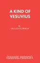 A Kind of Vesuvius - Gillian Plowman