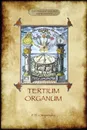 Tertium Organum. a key to the enigmas of the world (Aziloth Books) - P. D. Ouspensky