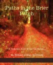 Paths in the Brier Patch - William Lindsey McDonald