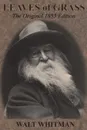 Leaves of Grass. The Original 1855 Edition - Walt Whitman
