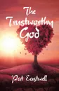 The Trustworthy God - Pat Eastwell