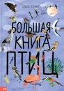 Большая книга птиц - Юваль Зоммер