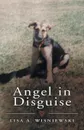 Angel in Disguise - Author