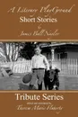 A Literary Playground - Short Stories - James Ball Naylor