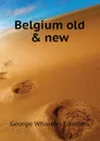 Belgium old . new - George Wharton Edwards