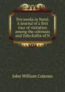 Ten weeks in Natal. A journal of a first tour of visitation among the colonists and Zulu Kafirs of N - John William Colenso