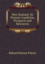 New Zealand: Its Present Condition, Prospects and Resources - Edward Brown Fitton