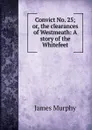 Convict No. 25; or, the clearances of Westmeath: A story of the Whitefeet - James Murphy