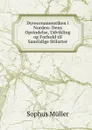 Dyreornamentiken i Norden: Dens Oprindelse, Udvikling og Forhold til Samtidige Stilarter - Sophus Müller