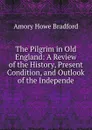 The Pilgrim in Old England: A Review of the History, Present Condition, and Outlook of the Independe - Amory Howe Bradford