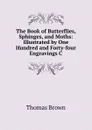 The Book of Butterflies, Sphinges, and Moths: Illustrated by One Hundred and Forty-four Engravings C - Thomas Brown