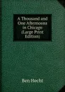 A Thousand and One Afternoons in Chicago (Large Print Edition) - Ben Hecht