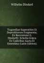 Tragoediae Superstites Et Deperditarum Fragmenta; Ex Recensione G. Dindorfii: Scholia Graeca Ex Codicibus Aucta Et Emendata (Latin Edition) - Dindorf Wilhelm