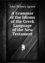 A Grammar of the Idioms of the Greek Language of the New Testament - John Holmes Agnew