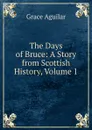 The Days of Bruce: A Story from Scottish History, Volume 1 - Grace Aguilar