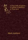 A Snug Little Kingdom: A Comedy of Bohemia in Three Acts - Mark Ambient