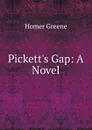 Pickett.s Gap: A Novel - Homer Greene