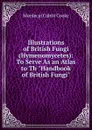 Illustrations of British Fungi (Hymenomycetes): To Serve As an Atlas to Th 