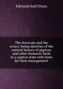 The dovecote and the aviary: being sketches of the natural history of pigeons and other domestic birds in a captive state with hints for their management - Edmund Saul Dixon