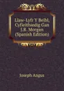 Llaw-Lyfr Y Beibl, Cyfieithiedig Gan J.R. Morgan (Spanish Edition) - Joseph Angus